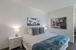 Modern 1 King City Escape - Image 4