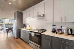 Bright 4BR Apartment Near Lincoln Park Zoo - Image 5