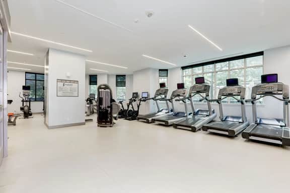 Jetsetter's 2BR Hub Between DC & Airport - Image 4